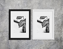 Free Picture Frame Mockups - with Multiple Sized Frames