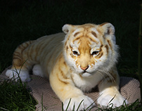 Golden tiger cub [stuffed toy]