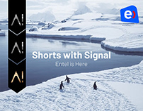 Shorts with signal / Entel is Here
