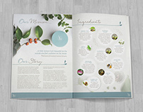 Bayeco: brochure design