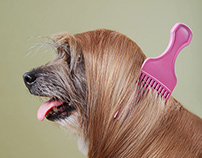 Advertising for grooming salon