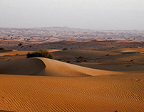Photography: The Desert