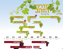Tali grapes golden guide poster for 2018
