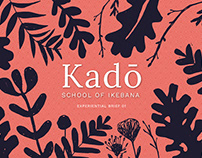 Kadō | Conceptual Web Development