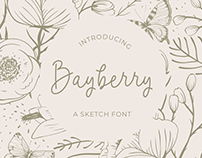 Bayberry - a Sketch Font