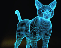 The Digitalized Cat