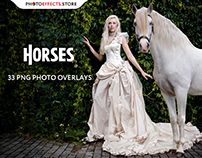 33 Horse Photo Overlays