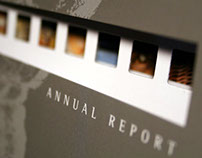 Crafts Council of Ireland: Annual Reports