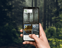 Polish National Parks - new website concept