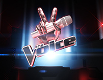 The Voice Season 3