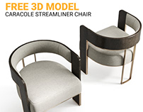 FREE 3D MODEL : Caracole Streamline Chair