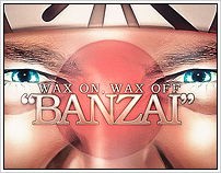"Wax On, Wax Off - Banzai"