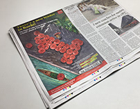 Times of India campaign illustration