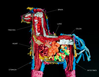 Piñata Anatomy