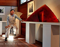 Australian Art Glass Studio & Wood Sculpture Gallery