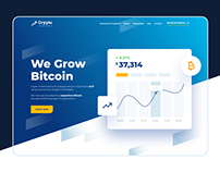 Website and portal for a cryptocurrency company