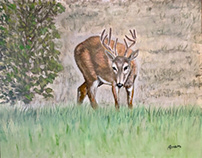 “As The Deer Pants” Acrylic On Canvas