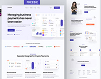 Landing page design for SaaS/Fintech