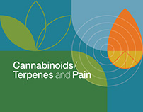 Cannabinoids/Terpenes and Pain