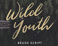 WILD YOUTH - FREE FONT