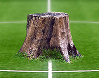 WWF - Fútbol contra la deforestación