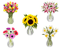Bouquets of Flowers in Glass Vases Vector Illustrations