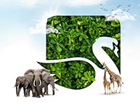 Social Media Festive Post | World Environment Day