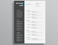 Free Professional resume template (CV) in word and PS