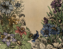 BE(E) YOUR FRIEND – botanical illustrations & packaging