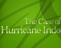 The Case of Hurrican Indo