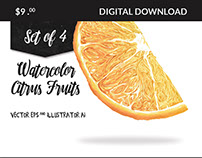 Watercolor Citrus Fruits