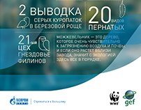 Infographics for Gazprom Neft Eco