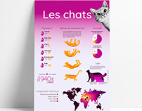 Document infographique - chats