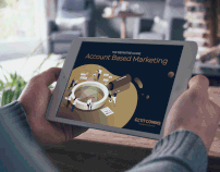 The Effective Guide: Account Based Marketing