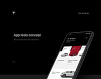 Tesla app concept