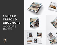Trifold Brochure Mockups Collection / Free Bonus