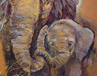 Семья слонов the elephant family