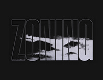 The Bloody Beetroots and ZHU - Zoning