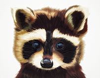 Illustration: The raccoon /ræˈkuːn/