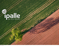 Ipalle - Rebrand V2