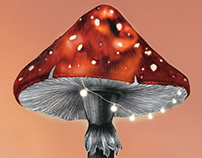 Mushroom Picking Season / NFTs