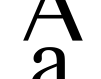 Times New Roman Sans Serif
