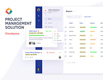 Project Management Solution UX.UI Design