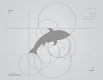 Shark logo design