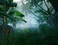 Rainforest scene test