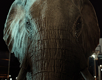 WWF - Elephant Trail