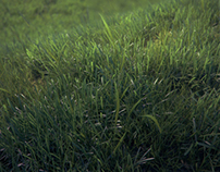 VizPeople Photorealistic Grass
