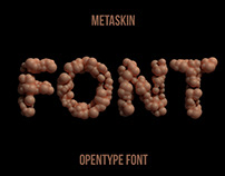 Metaskin Font
