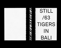 Still 63 tigers in Bali