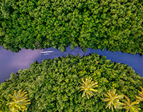 2022 Aerial Photography of Kauai